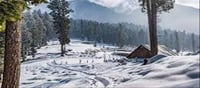 To what extent absence of snowfall hurt tourism industry?